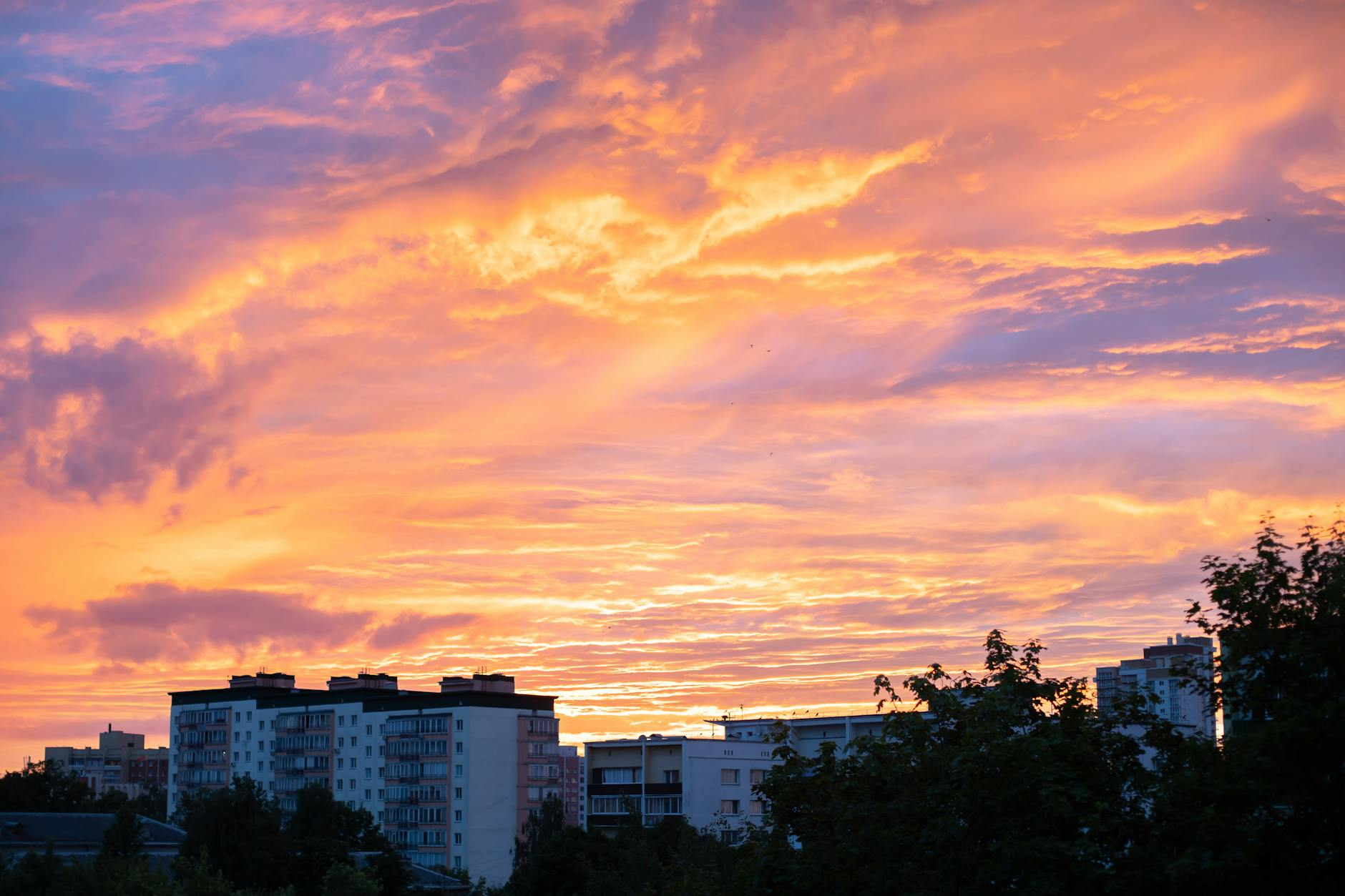 concrete buildings during sunset